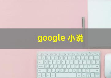 google 小说